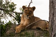 049-Okavango-2ndDrive
