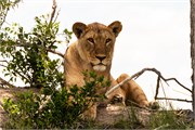 050-Okavango-2ndDrive