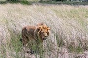 051-Okavango-2ndDrive