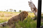 052-Okavango-2ndDrive