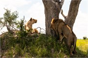 053-Okavango-2ndDrive