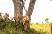 056-Okavango-2ndDrive
