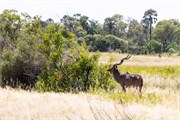 059-Okavango-2ndDrive