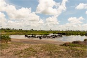 060-Okavango-2ndDrive