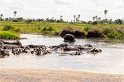 061-Okavango-2ndDrive