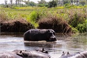063-Okavango-2ndDrive