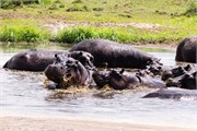 064-Okavango-2ndDrive