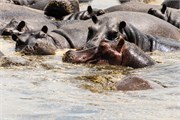 065-Okavango-2ndDrive