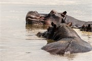 066-Okavango-2ndDrive