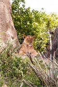 080-Okavango-2ndDrive