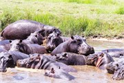 085-Okavango-2ndDrive