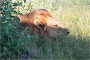 016-OkavangoDelta4