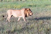 022-OkavangoDelta4