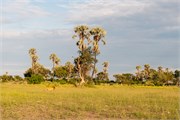 030-OkavangoDelta4