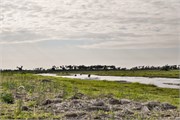 036-OkavangoDelta4