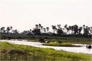 037-OkavangoDelta4