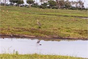 046-OkavangoDelta4