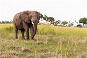 049-OkavangoDelta4