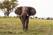 050-OkavangoDelta4