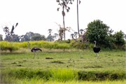052-OkavangoDelta4