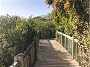 011-CapePointDrive