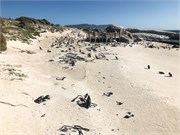 012-CapePointDrive