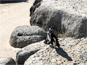 021-CapePointDrive