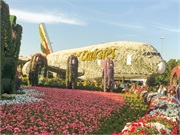 037-025-Miracle_Garden_Dubai