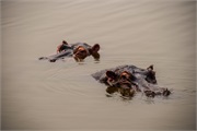 043-041-LakeMburo