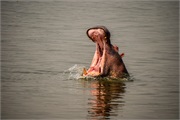 044-045-LakeMburo