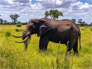 056-023-KrugerOrpenGate