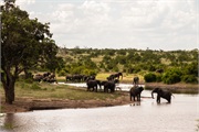 061-070-KrugerOrpenGate