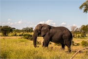 063-090-KrugerOrpenGate