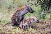 071-009-KrugerPhbaniGate1