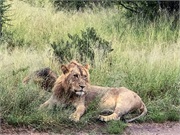 072-077-KrugerPhbaniGate1