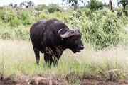 076-076-KrugerPhbaniGate2