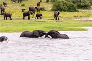 085-032-ToChobe-Cruise