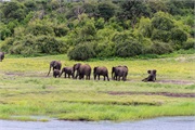 086-041-ToChobe-Cruise