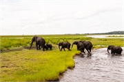 087-072-ToChobe-Cruise