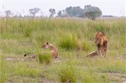 097-040-Chobe_1stDrive