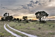 105-029-Okavango-1stDrive