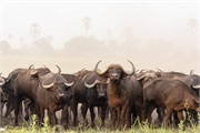 109-014-Okavango-2ndDrive