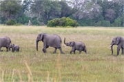 113-026-Okavango-2ndDrive