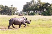 115-037-Okavango-2ndDrive