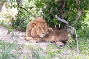 123-076-Okavango-2ndDrive