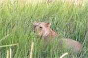 124-006-OkavangoDelta3
