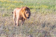 131-019-OkavangoDelta4