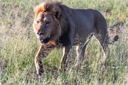 132-028-OkavangoDelta4