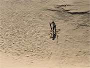 066-033-Desert_Qatar