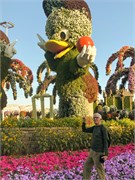 113-039-Miracle_Garden_Dubai